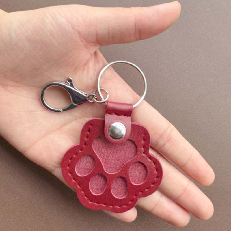 Pet Hair Storage Keychain