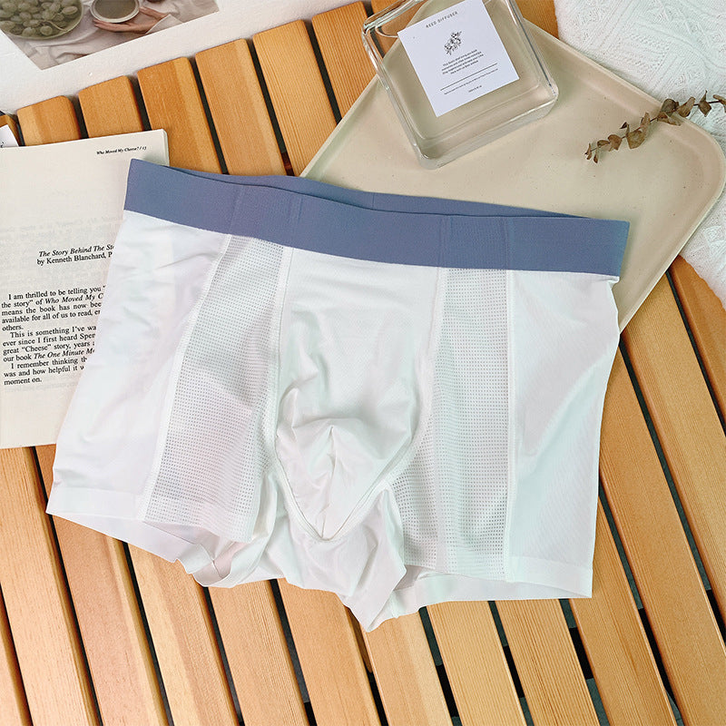 🎁Hot Sale 49% OFF⏳Summer Men's Ice Silk Underpants
