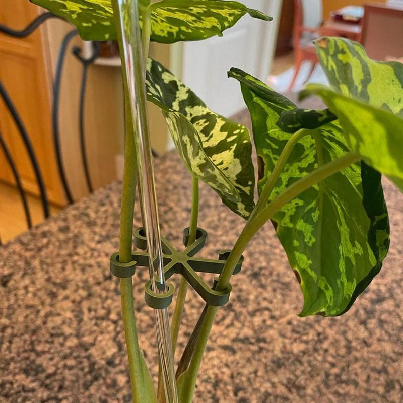 Plant Stem Support （4pcs)